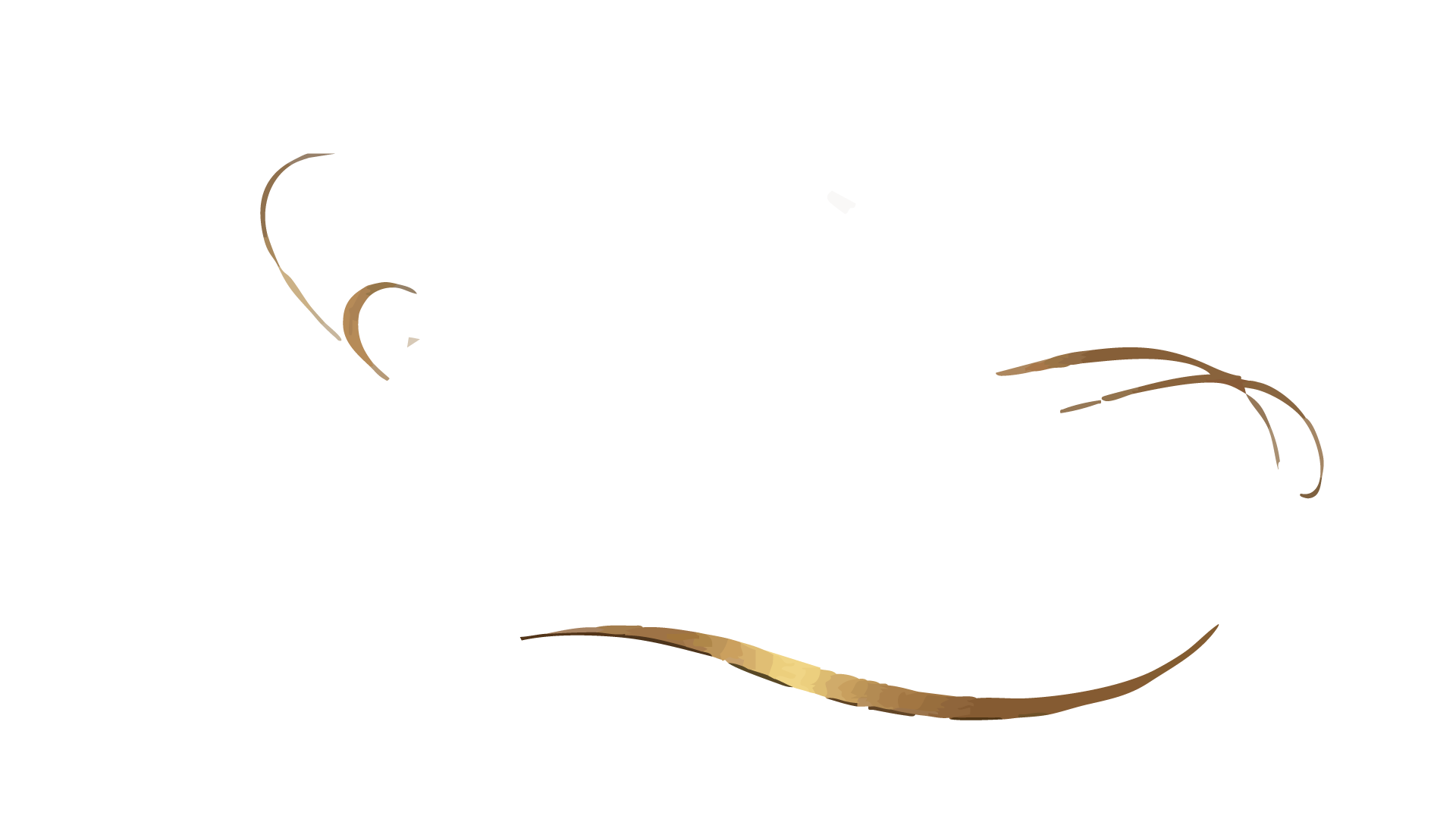 Equicurve